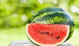 夏天在吃瓜,吃瓜乐趣无限