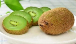 冬天吃瓜的头像,瓜果飘香——冬季吃瓜新风尚”