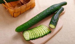 黄瓜特效吃瓜视频,揭秘夏日消暑新潮流