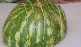 不去皮可以吃石瓜吗,不去皮也能享用的石瓜美味探索