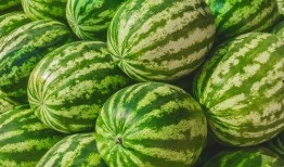 吃瓜上哪里找,带你领略网络热点的魅力