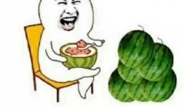 吃瓜娱乐帝,揭秘娱乐圈幕后故事