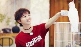 吴尚津吃瓜,揭秘娱乐圈幕后真相