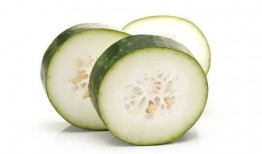 准备吃瓜打工了,职场奋斗正当时