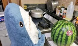 网友吃瓜素材,娱乐圈最新吃瓜大事件，揭秘明星幕后真相！