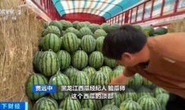 拉萨吃瓜吃到方舱