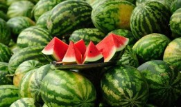 无瓜吃瓜,揭秘瓜界奇闻轶事