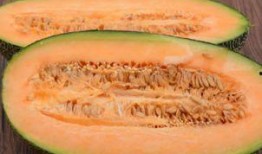 吃哈密瓜困,甜蜜诱惑下的午睡奇遇