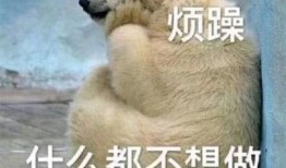 吃瓜群众套装图,潮流与幽默的完美融合