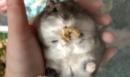 吃瓜三线,吃瓜三线，那些鲜为人知的幕后故事