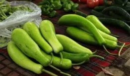 游三吃瓜随便吃,揭秘娱乐圈的甜蜜与苦涩