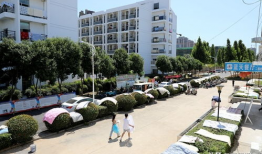 亳州学院今天吃瓜