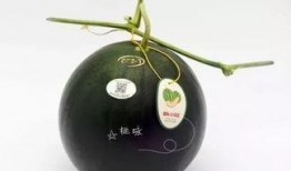 桃黑黑吃瓜,揭秘娱乐圈背后的秘密与八卦