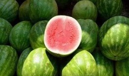 瓜白瓤怎么吃,解锁健康美味新选择