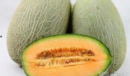 吃哈密瓜会裂