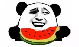 吃瓜群5559578,一场全民参与的娱乐盛宴