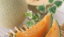 白夜吃哈密瓜好吗,一场甜蜜的味蕾之旅