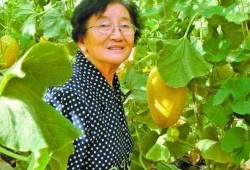 蔡哥茶壶吃瓜,吃瓜群众的趣味生活