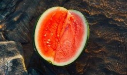 镜湖吃瓜,一场夏日里的全民狂欢