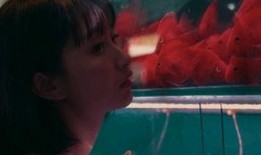 吃瓜少女情报,吃瓜少女情报大揭秘