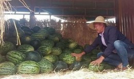 博山沿河吃瓜群众,夏日炎炎，吃瓜群众欢聚一堂