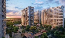 曙光壹号学府吃瓜,揭秘校园里的“吃瓜”风云