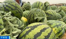 全国吃瓜官网,揭秘各地特色美食，带你领略舌尖上的中国