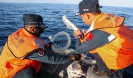 中国渔民吃瓜国外,揭秘国外“吃瓜”现象背后的故事