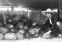 梁山吃瓜群众事件,揭秘网络舆论的狂欢与反思