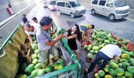 瓜农翻车吃瓜图片,笑料百出吃瓜瞬间