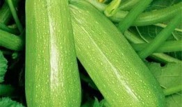 彭吃瓜,揭秘娱乐圈背后的真实故事