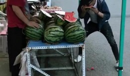 街头吃瓜帅哥,揭秘都市生活中的趣味瞬间