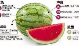 吃6斤瓜,一夏六斤瓜的甜蜜滋味