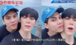 fortpeat吃瓜,网络红人背后的故事与争议