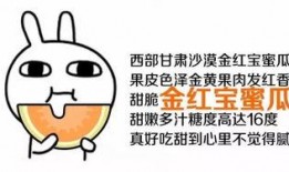 吃瓜群众想发达,揭秘如何实现财富梦想
