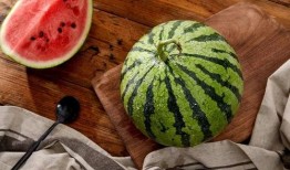 吃瓜上海major,一场电竞盛宴的狂欢与激情