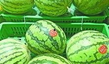 西大街吃瓜,吃瓜群众的欢乐盛宴