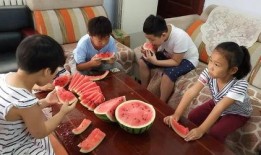 社区吃瓜大赛,一场全民参与的吃瓜盛宴