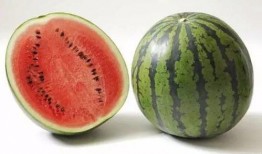 砀山吃瓜事件起因,一场误会引发的全民热议