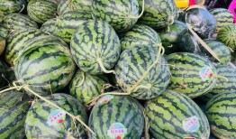 近期南宁吃瓜事件,一场网络热议背后的真相与反思