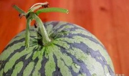 彭吃瓜,揭秘娱乐圈背后的真实故事