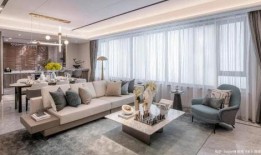 吃瓜买大平层,吃瓜群众如何通过投资大平层实现财富增值