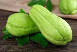 吃瓜腾的好处,解锁健康与快乐的秘密之匙