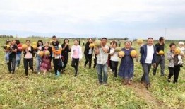 老汉吃瓜的视频,笑谈农事乐在其中