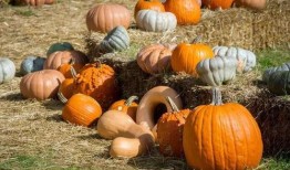 吃瓜的调调,揭秘娱乐圈那些鲜为人知的幕后故事