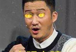 带你吃瓜吴京表情包