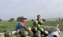 小庄总吃瓜,揭秘娱乐圈幕后故事