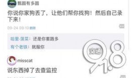 吃瓜男子证据视频播放,揭秘事件真相