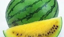 吃瓜最新玩法,揭秘娱乐圈幕后风云