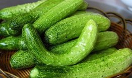 什么瓜吃罗锅,揭秘网络流行语的奥秘